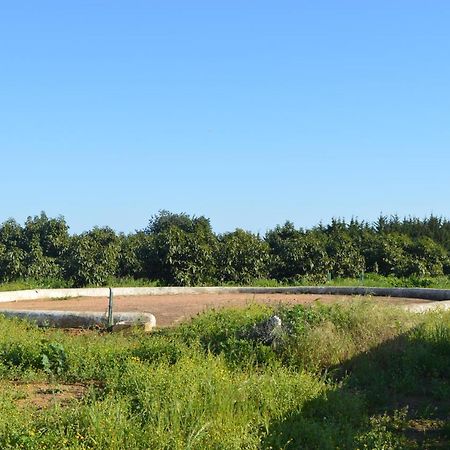 Quinta Das Figueiras Vila Nova de Cacela Bagian luar foto