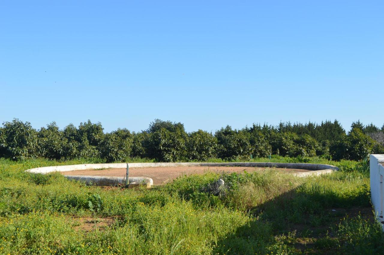 Quinta Das Figueiras Vila Nova de Cacela Bagian luar foto